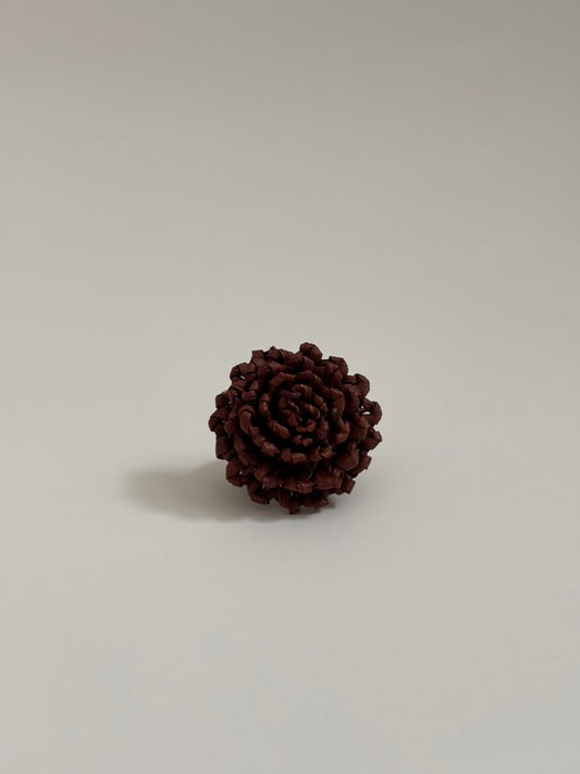 Anillo Barichara Chocolate