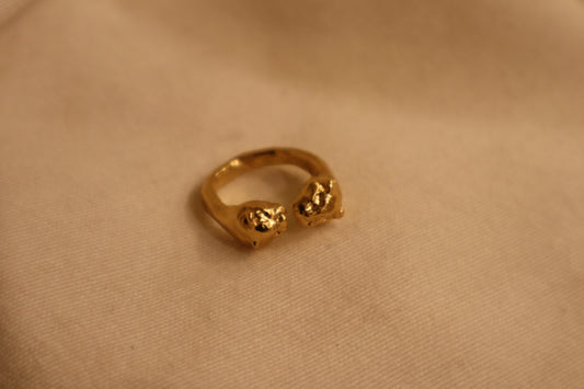 The Two Pumas Ring