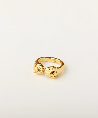 The Two Pumas Ring
