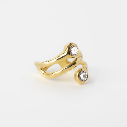 The Ultimate Two Ring
