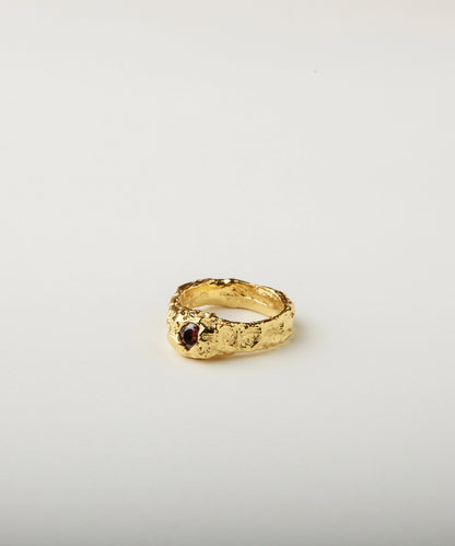 Anillo Varsovia