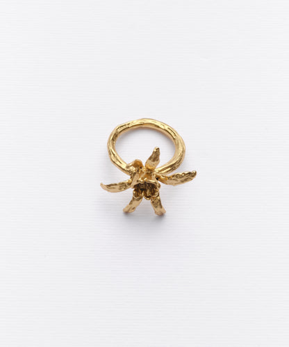 Anillo Flor de Iris